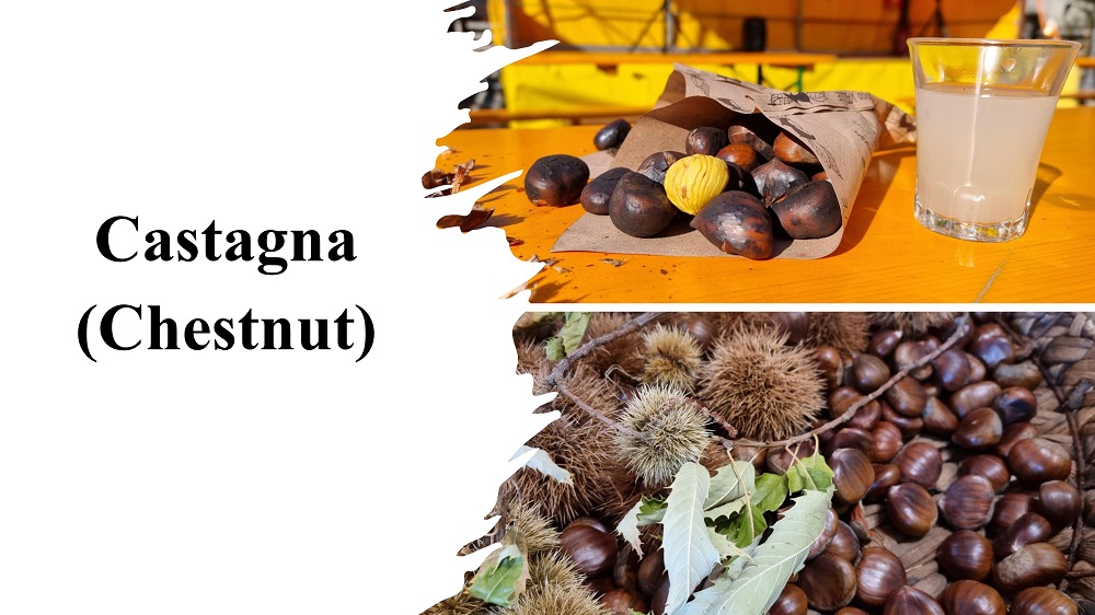 Sagra della Castagna