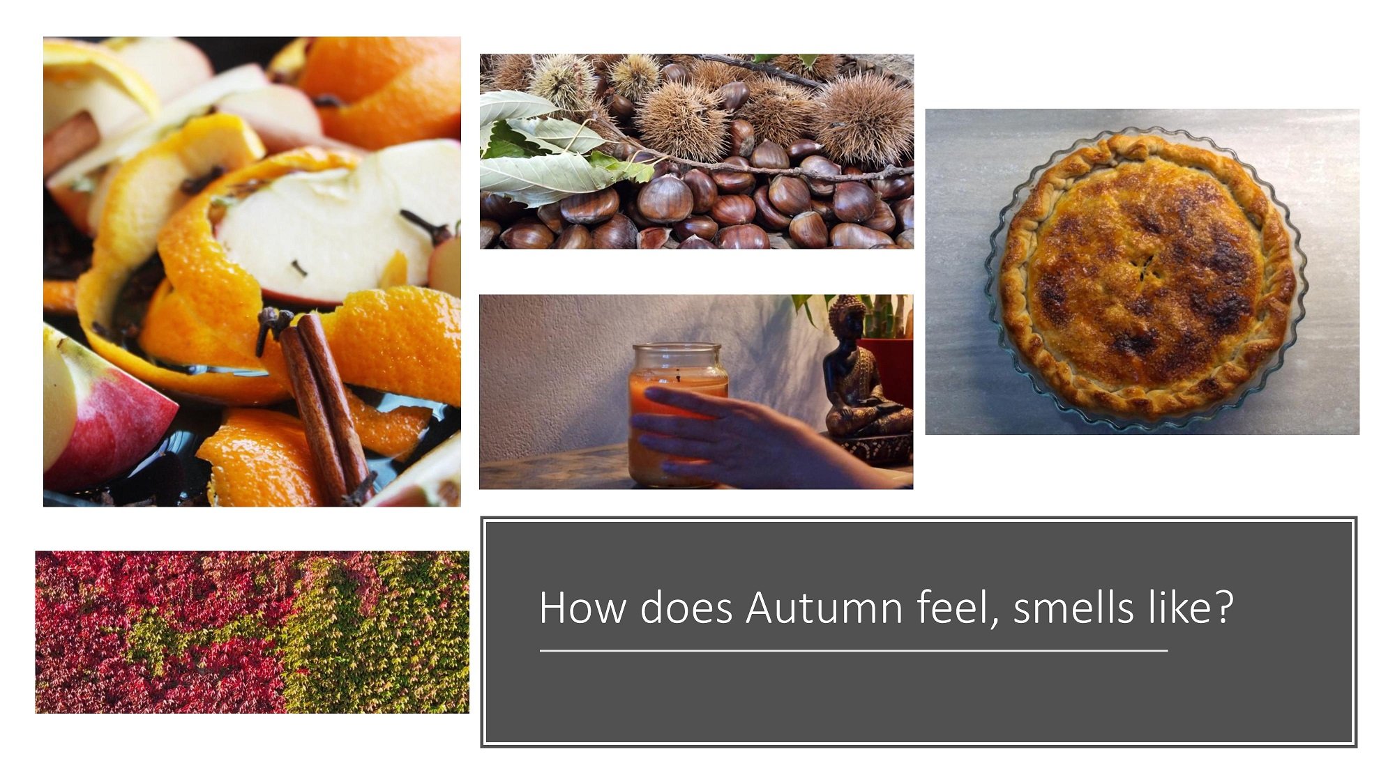 How does Autumn feel, smells like?